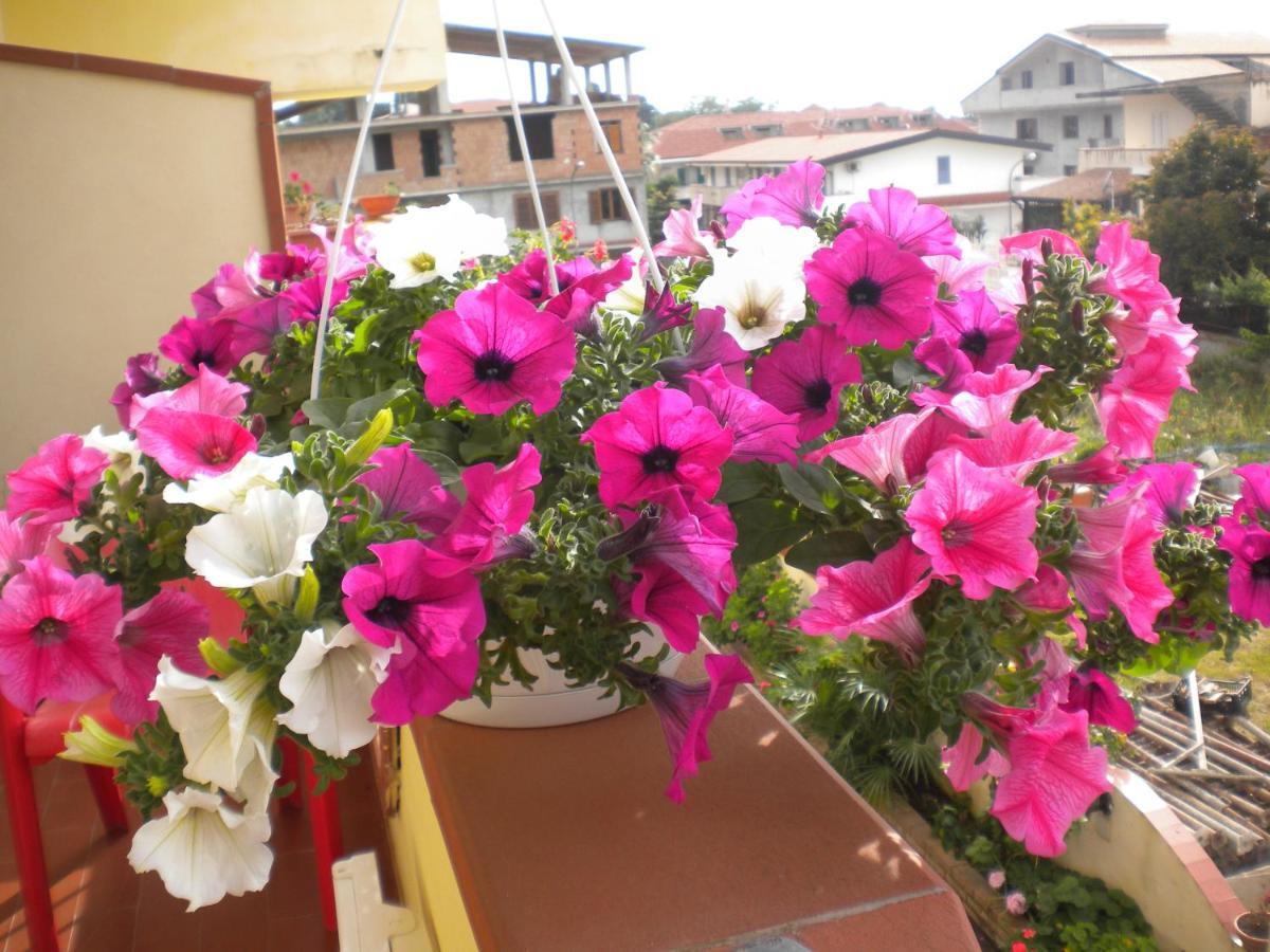 B&B Del Sole Tropea Riaci Luaran gambar